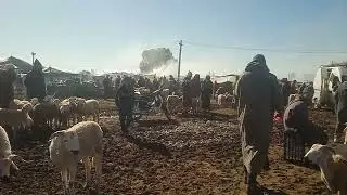 سوق الأربعاء