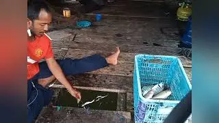 Full strike mancing di bagan