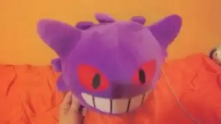 My Pok&eacute;Plushie Collection!