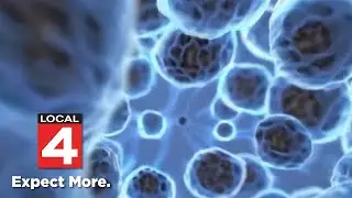 Study finds immunotherapy effective for tumors with specific genetic mutation