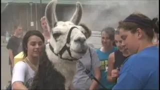 Minnesota State Fair 2015 Highlights