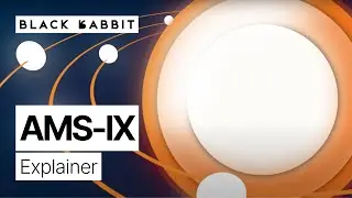 AMS-IX Explainer Video | #B2B #videomarketingagency #b2bvideoads | Black Rabbit