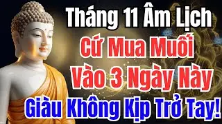 Tháng 11 Âm Lịch Cứ Mua Muối Vào 3 Ngày Này, Gia Chủ Phất Lên Khó Ai Bằng | Phật Pháp Diệu Kỳ