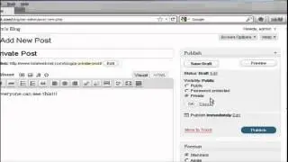 How Do I Create A Password Protected Post In Wordpress?