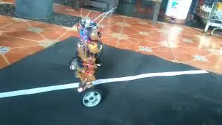 Two wheel balancing Robot follow line using image processing