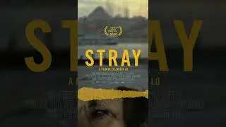 Ali Helnwein - Stray clip