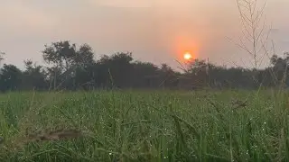 morning sunrise video village | Lyly lifestyle