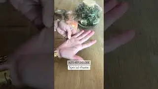 Tuto AUTO-R&Eacute;FLEXOLOGIE palmaire ✋🤚 Sp&eacute;cial RHUME.