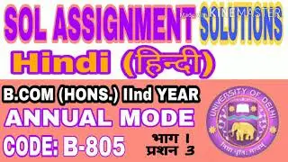 HINDI - B | B.COM HONS. 2nd YEAR ANNUAL MODE ASSIGNMENT | SOL DU | QUESTION 3 | SOLUTION