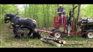 Hippomobile