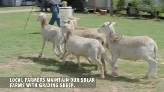 O2 emc  Solar Development-Local Impact