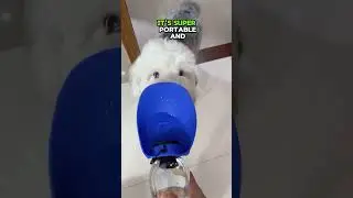 Dog and Cat Water Dispenser Perfect for Walks and Travel #petwaterbottle #dogcare