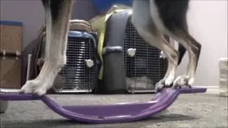 Traction Agility Mind Balance