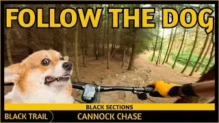 Follow The Dog **Black Sections** - Cannock Chase