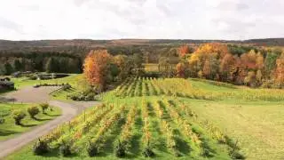 Six Mile Creek Vineyard