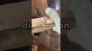 What's the most satisfying public humiliation you've ever seen?