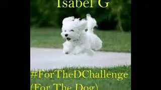Isabel G - #ForTheDChallenge (For The Dog) (audio from 2019 EP, 