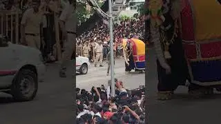 Mysore Dasara Elephant Mass Walking On Dasara | #ArjunaElephant #Arjuna #Abhimanyuelephant
