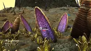 No Man's Sky - Anomaly Planet