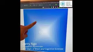 The Vasarely Illusion