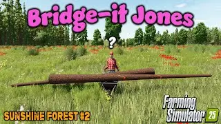 WILL THIS EVEN WORK? (PLUS ADS FIXED!) ON SUNSHINE FOREST #2 | Farming Simulator 25.