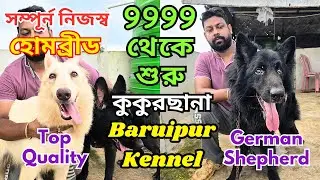 Biggest German Shepherd Kennel in West Bengal । Home Breed Puppies Sell । Dog Market in Kolkata