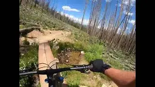 MTB in Summit County: Descent on Colorado Trail Section 7 to Peaks Trail to Miner's Creek
