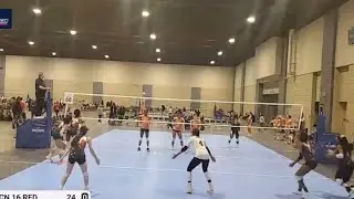 BROOKE YOUNG L/DS 2028 3.98 GPA HIGHLIGHTS