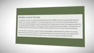 Pest Control Toronto ON | 247 Pest Control