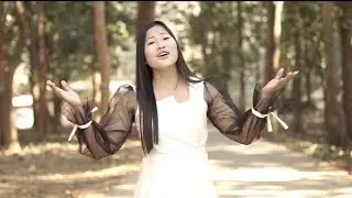 ZEME FAMOUS SINGERS VIDEOS COLLECTION. ASSAM, MANIPUR, NAGALAND.