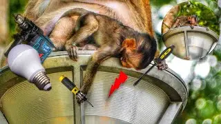 Omg.! Cute Baby Blaze Asking Mom How To Electrician Fixes The Light Bulb Himself LOL