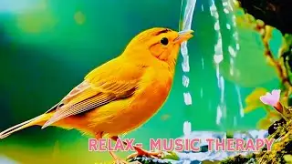 Calming Sound of Rain and Birds Chirping 2~ Restore Your Mind and Body, Relieve  Stress and 🌧Anxiety