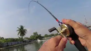 LS Fishing Pond 20-02-2022