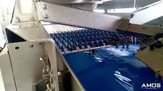 &Eacute;grappoir W10 + Trivert