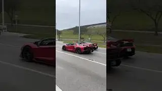 Lambo Roll Out!!! #fast #lamborghini #super #cars #car #automobile #auto #carshow #race #racing