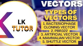 Vectors, Types of vectors,PBR322, Bacteriophage cloning, Shuttle, Bacterial and mammalian vector BS