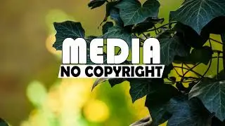 Soulful - No Copyright Media