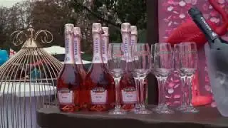 Marengo на &laquo;Kyiv Food and Wine Festival&raquo; Full HD
