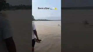 ब्यास दरिया में बढ़ गया पानी।Water level increased in Beas river.
