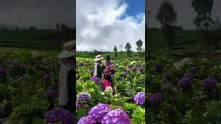 Brakseng Versi Mendung, HTM 10K aja ! #brakseng #wisataalam #wisatabatu #wisatamalang