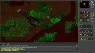 Tibia Bot Kill in Non PvP #46 