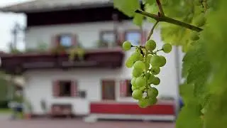 Rosenegg - Fieberbrunn - Austria