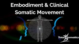 Embodiment & Clinical Somatic Movement