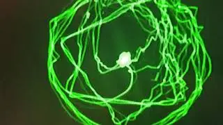 What is hidden in the Star at the end of 11B-45-1T8 ?!?