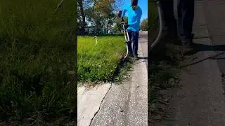 #lawncare #subscribe #landscaping #satisfying #lawn #cartoon #lawnlife #lawnmowing #mowmylawn #song