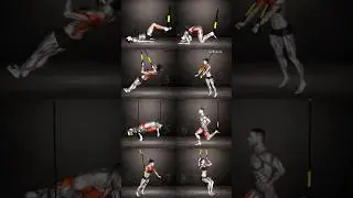 Full Body TRX Workout For Beginners