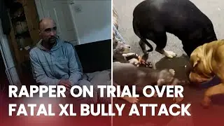 Rapper on trial over FATAL XL bully attack said ‘shame about all the laws’ during arrest