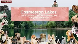 Kel&rsquo;s Afternoon at Cosmeston's🏴󠁧󠁢󠁷󠁬󠁳󠁿