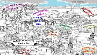 Particle Zoo