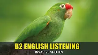 🎧 Intermediate English Listening &ndash; Book 1, Chapter 13: Invasive Species (Audio | B2 English)
